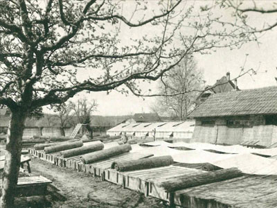 La serre et les Couches